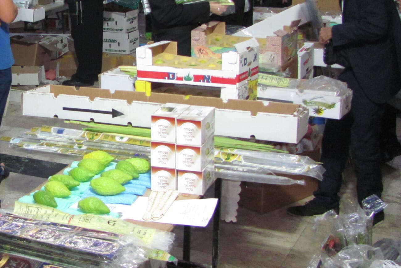 Esrog boxes, sleeved lulavim and esrogim laid out on tables at the Daled Minim fair