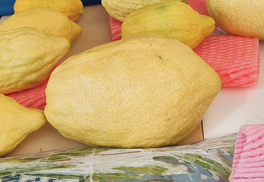 A large clean esrog on the market table, others behind it