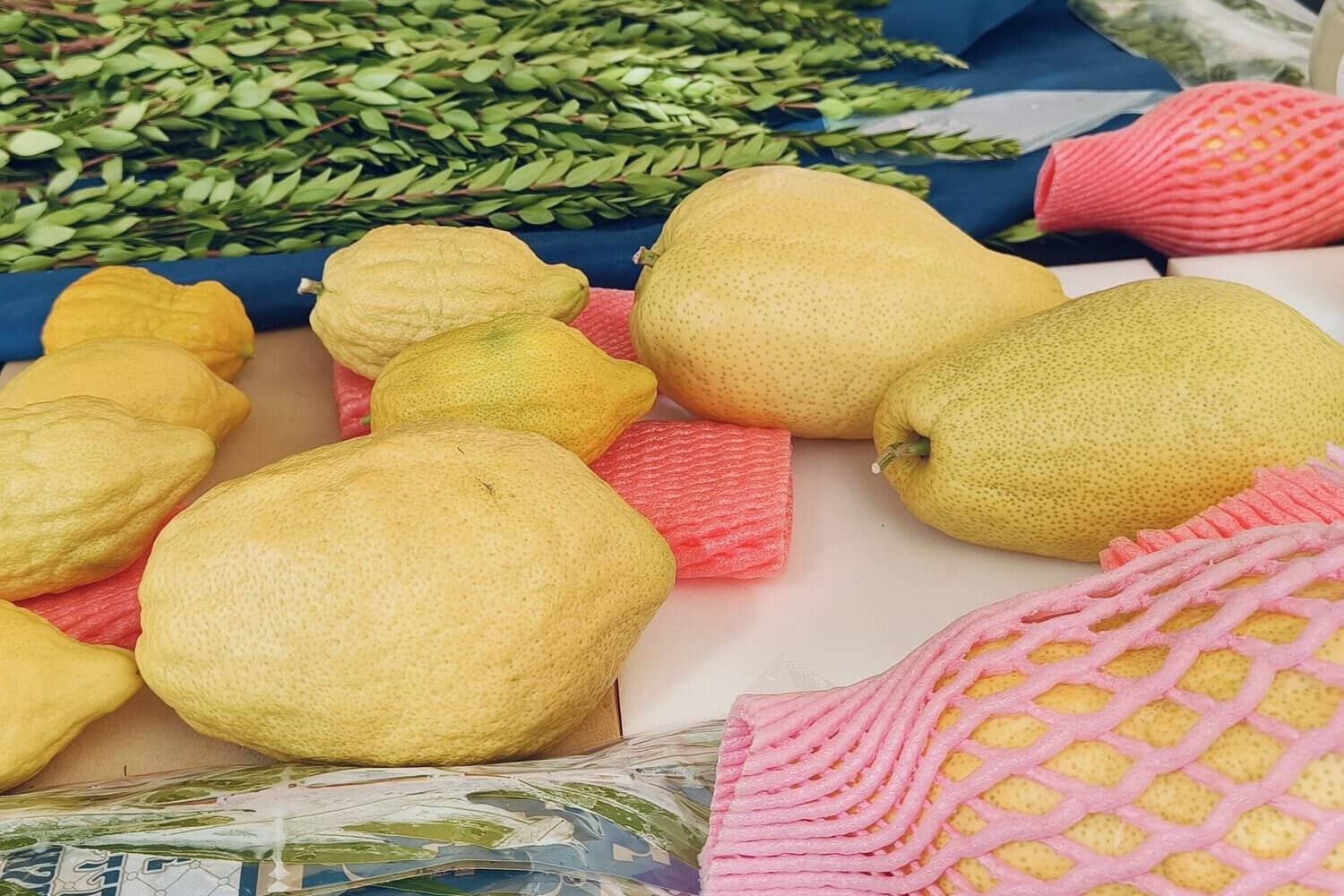Esrogim laid out on a table beside bundles of hadassim at a Daled Minim market in Yerushalayim