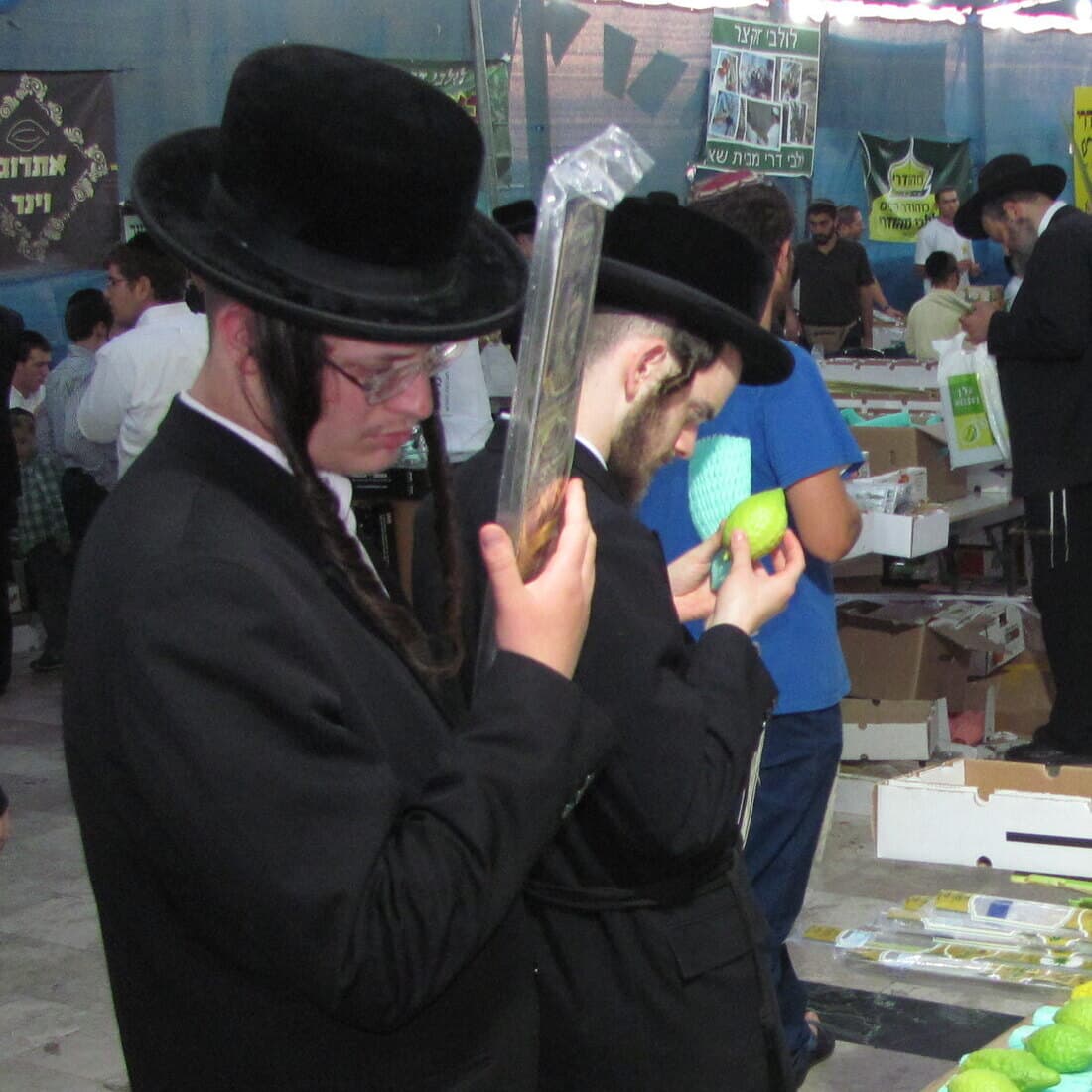 Two chassidim examining an esrog and a sleeved lulav