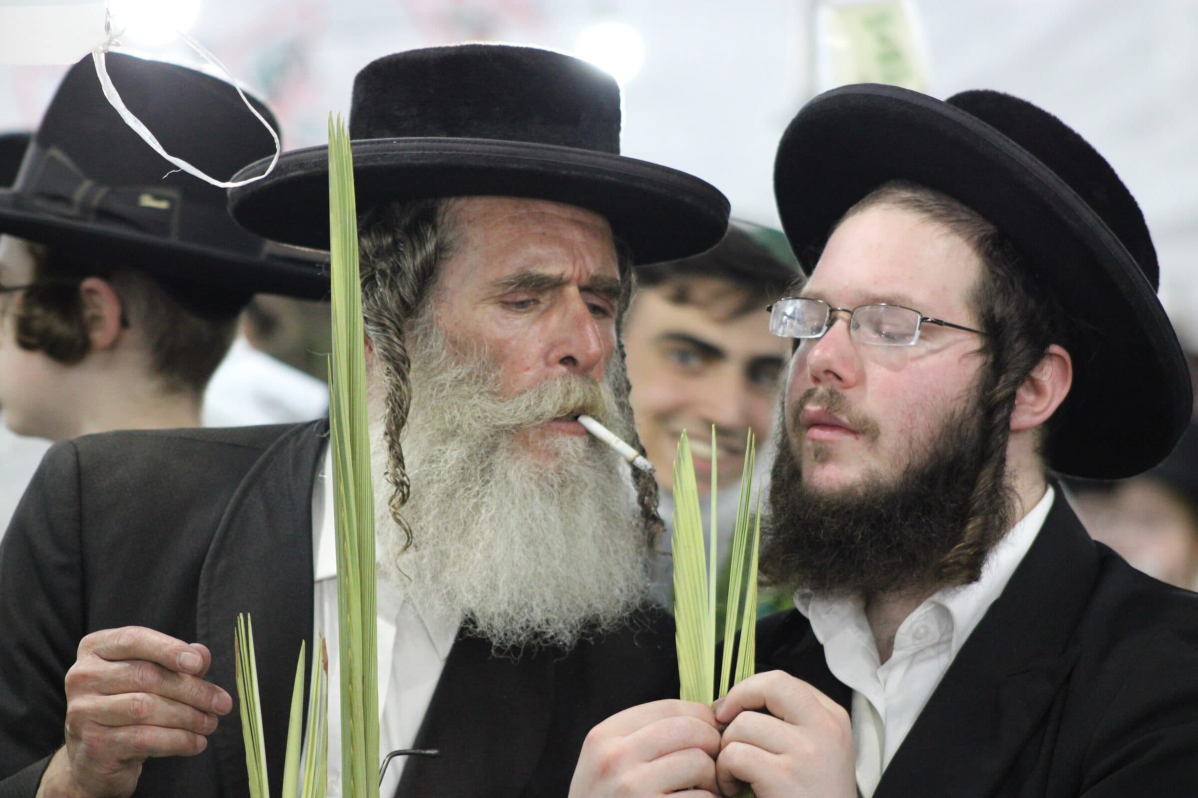 Two men examining the tip of a lulav against the light